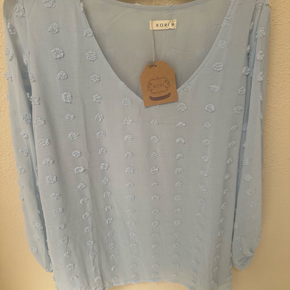 Kori Women's Soft Blue Embroidered Blouse
